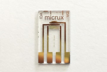 Thin-film Gold InterDigitated Array Microelectrode (5/5 µm) 