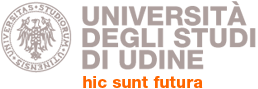 UNIVERSITA' STUDI UDINE